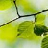 阳光温热，岁月静好 第10张