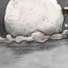 2016的第一场雪 亲亲木朵-QQ相册封面拼图4x3-好看的-卡通-可爱- 第10张
