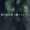 阳光当空照 花儿对我笑 第14张