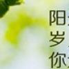 阳光温热，岁月静好 第15张