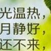 阳光温热，岁月静好 第16张