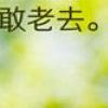 阳光温热，岁月静好 第22张