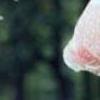 阳光当空照 花儿对我笑 第22张