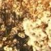闭上眼，感受美好的一天的结束-QQ相册封面拼图6x4-意境-风景-女生- 第24张