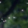 阳光当空照 花儿对我笑 第9张