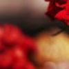 玫瑰女人的最爱QQ空间封面图片-QQ相册封面拼图4x3-好看的-唯美-风景- 第6张