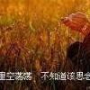 黄昏下的寂寞 第6张