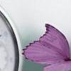怀表与蝴蝶的故事-QQ相册封面拼图4x3-唯美-意境-小清新- 第7张