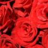 玫瑰与美酒谁想来一杯-QQ相册封面拼图4x3-唯美-风景-幸福- 第7张