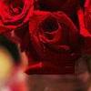 玫瑰女人的最爱QQ空间封面图片 第7张