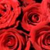 玫瑰与美酒谁想来一杯-QQ相册封面拼图4x3-唯美-风景-幸福- 第8张