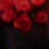 玫瑰女人的最爱QQ空间封面图片-QQ相册封面拼图4x3-好看的-唯美-风景- 第9张