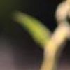 超漂亮图片 向日葵的坚强-QQ相册封面拼图6x4-唯美-小清新-好看的- 第20张