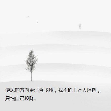 唯美伤感经典哲理签名说说图片