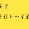  曲婉婷——我的歌声里-QQ相册封面拼图4x2-唯美-意境-文字- 第7张