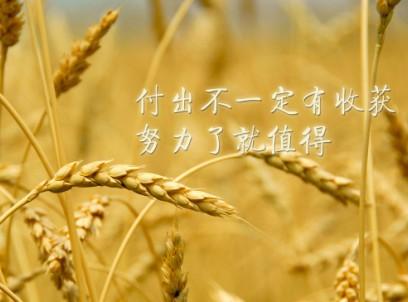 说说心情短语-付出不一定有收获努力了就值得
