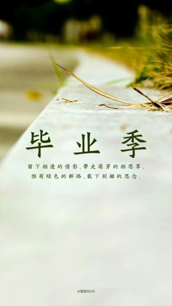 毕业季qq皮肤图片大图-qq女生皮肤-伤感-带字- 第1张